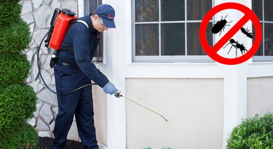 Oğuzeli Dezenfeksiyon böcek ilaçlama ve haşere kontrolü — ilaclama-tr.com